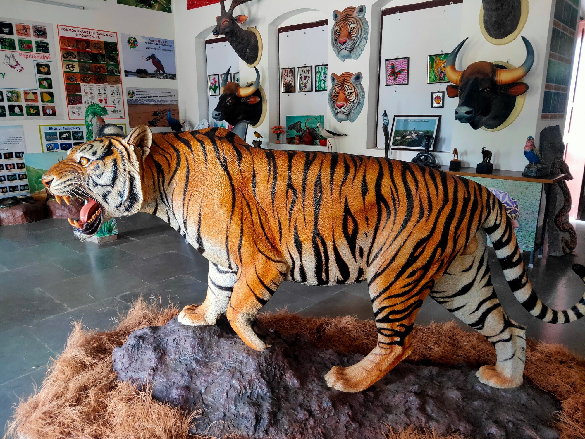 Personal Encounters with Artists and Artisans