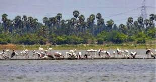 Additional Activities Around the Lake Sanctuary in Pondicherry