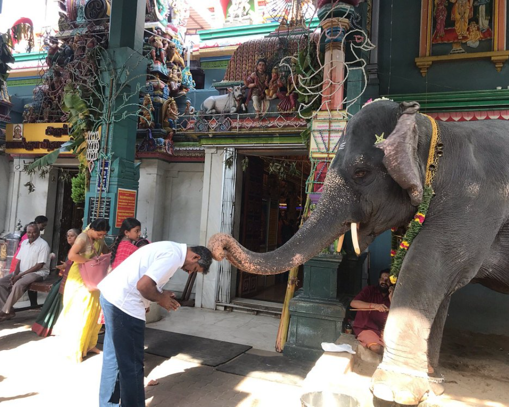 Arulmigu Manakula Vinayagar Temple in pondy