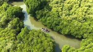 Best Time to Visit the Lake Sanctuary