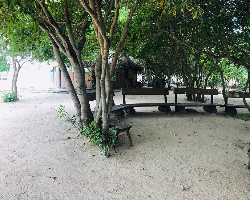 Paradise Beach in Pondicherry