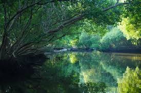 Wildlife You Can See at the Lake Sanctuary in Pondicherry
