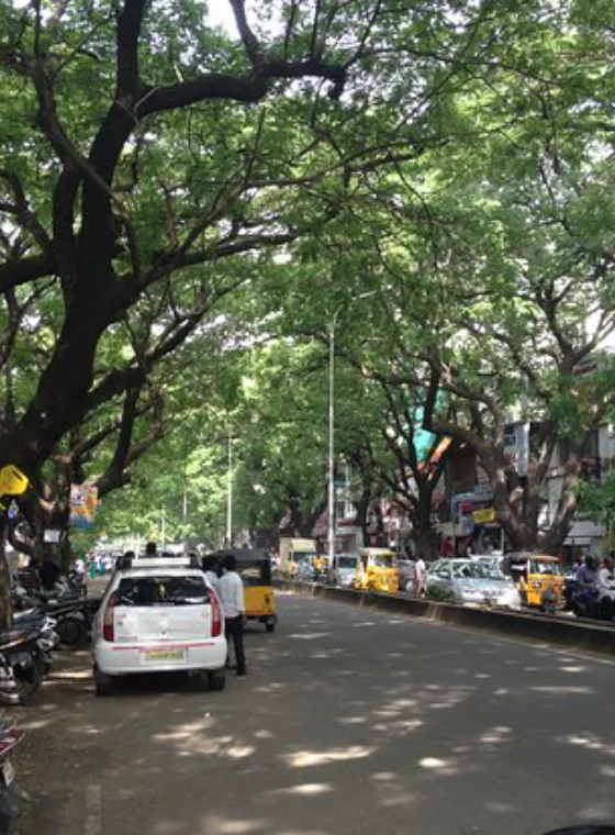 A Month in Pondicherry