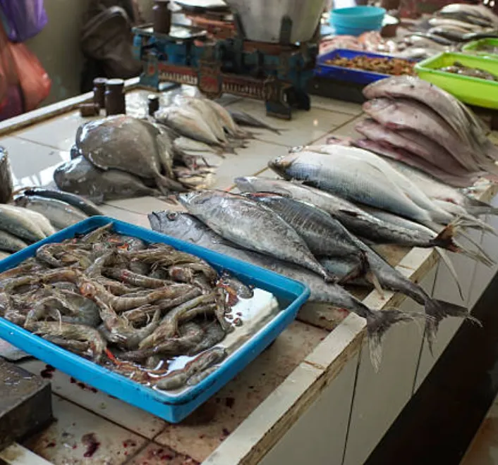 Best Fish Markets in Pondicherry