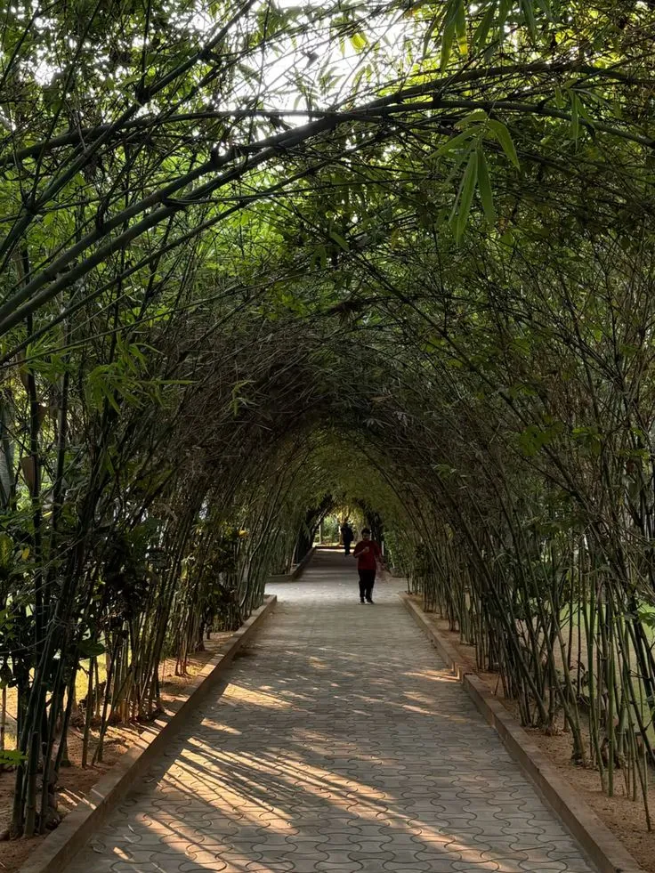 Botanical Garden in pondicherry
