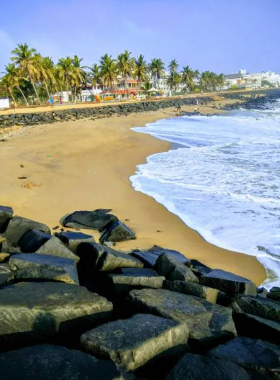 Fake Tour Guides at Rock Beach