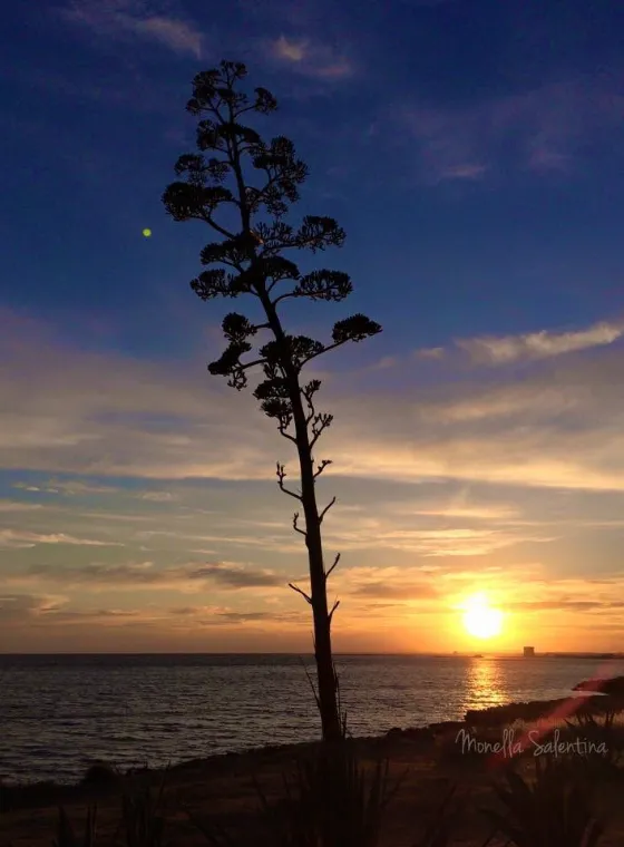 Ousteri Sunset Point