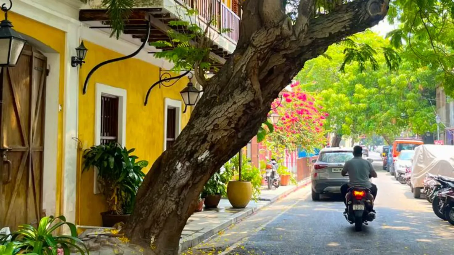Pondicherry for Solo Travelers