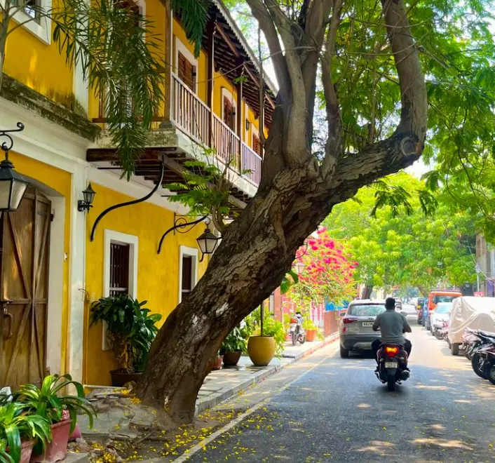 Pondicherry for Solo Travelers