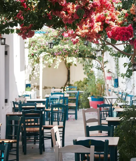 Cafés Around White Town