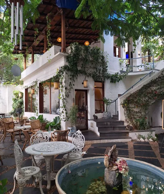 Cosy Café Afternoon in Pondicherry